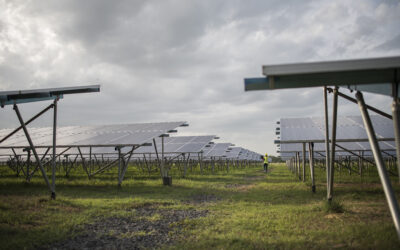 Incentivo Agrivoltaico 2024
